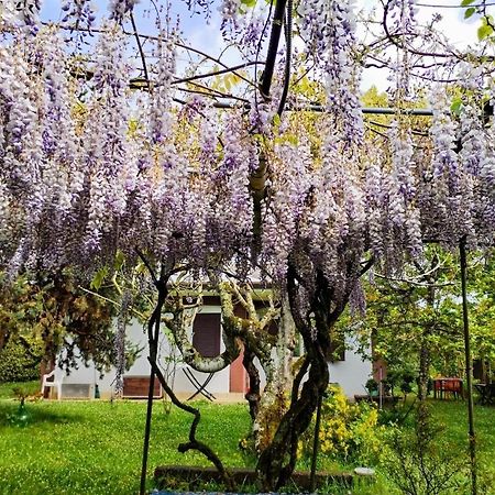 Casetta In Collina Sezze Bagian luar foto