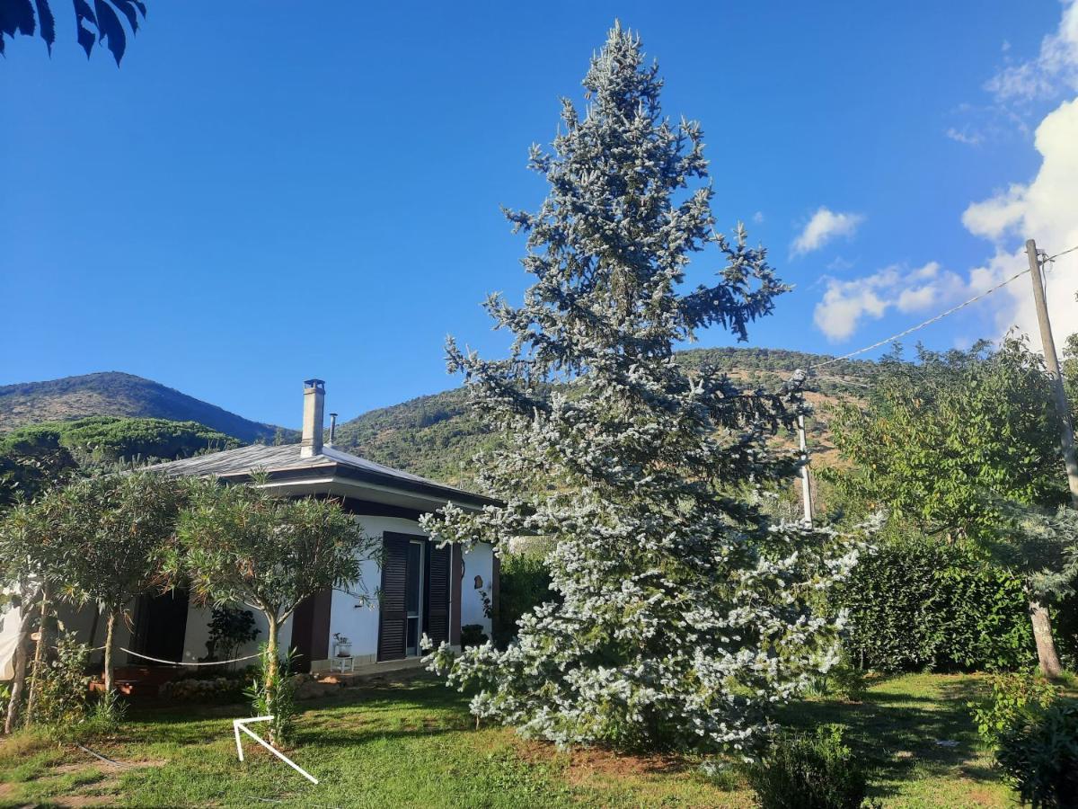 Casetta In Collina Sezze Bagian luar foto