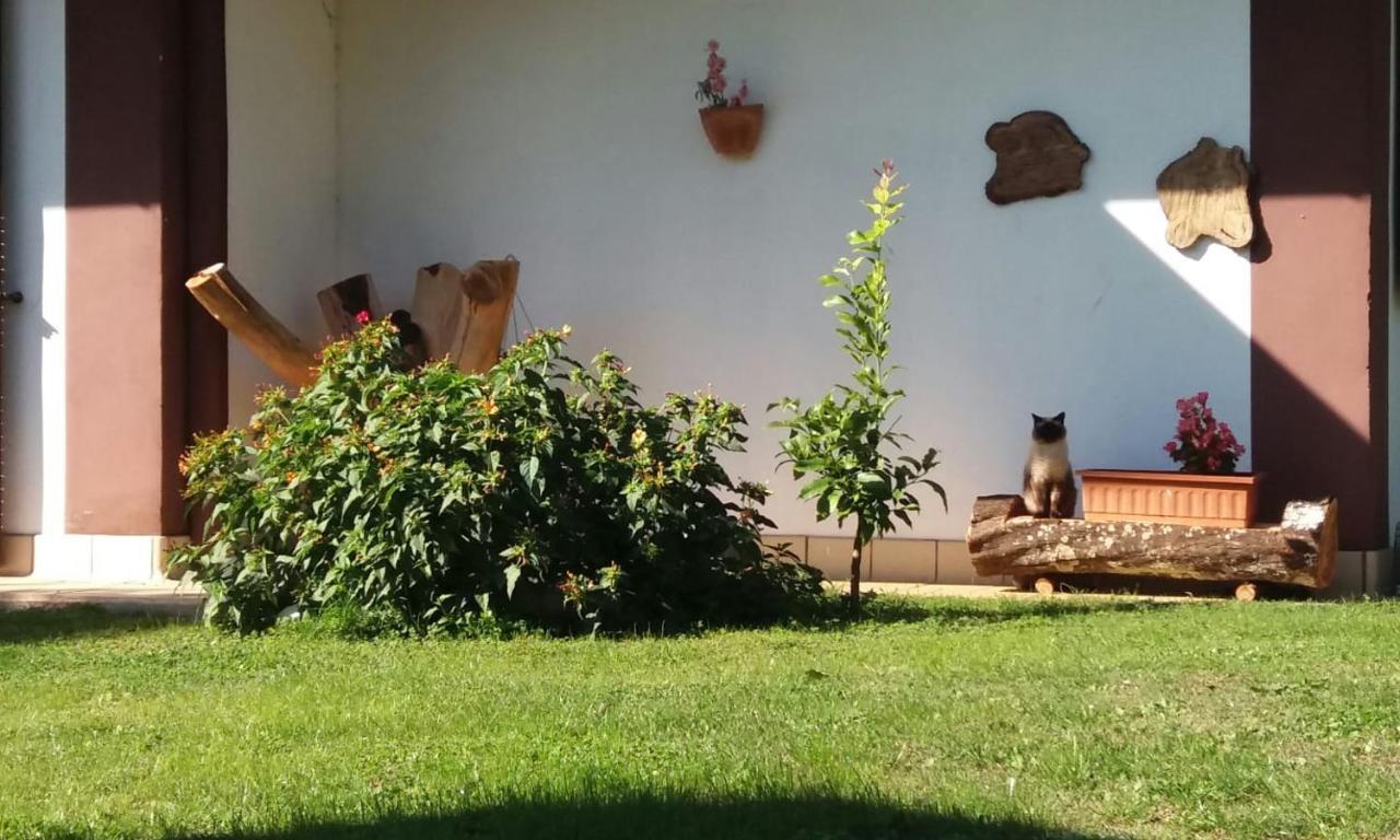 Casetta In Collina Sezze Bagian luar foto