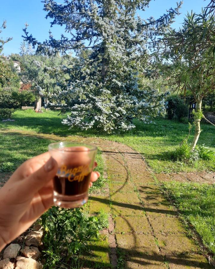 Casetta In Collina Sezze Bagian luar foto