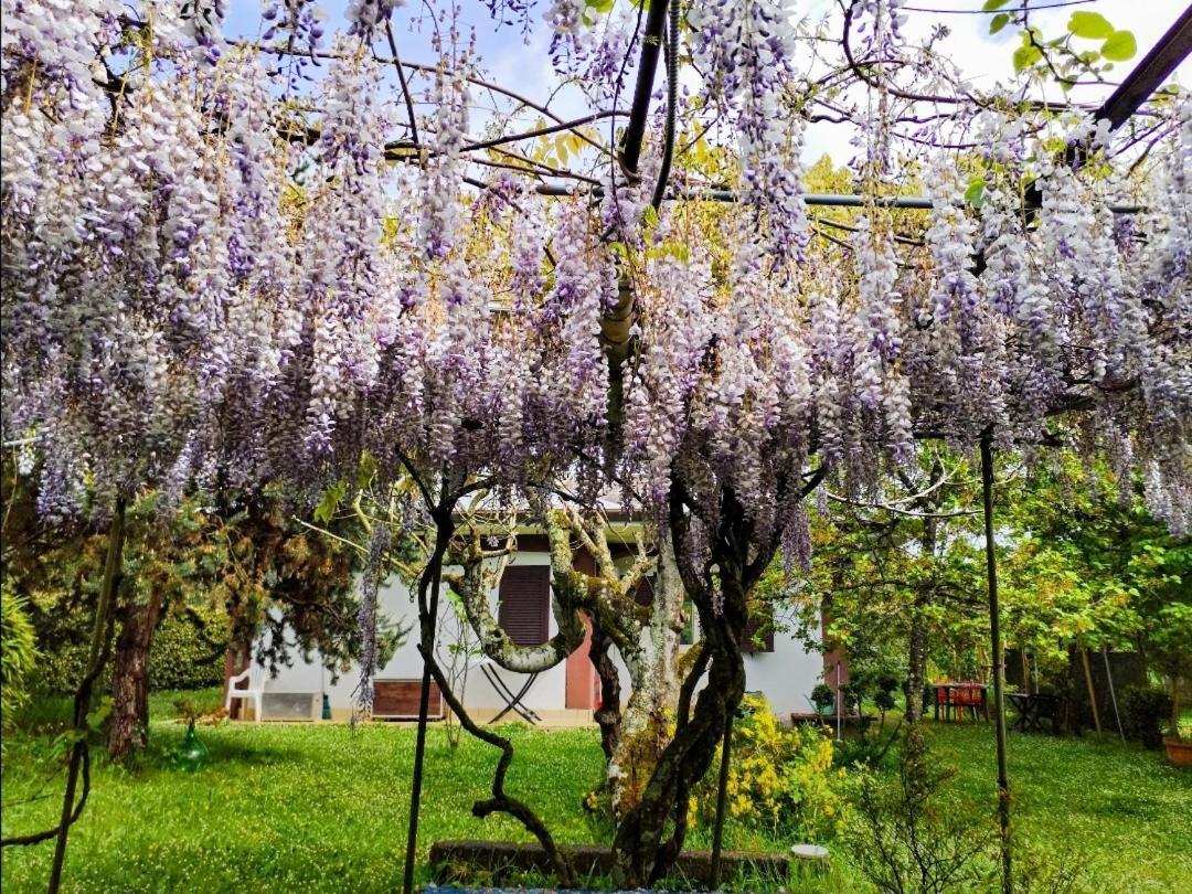 Casetta In Collina Sezze Bagian luar foto